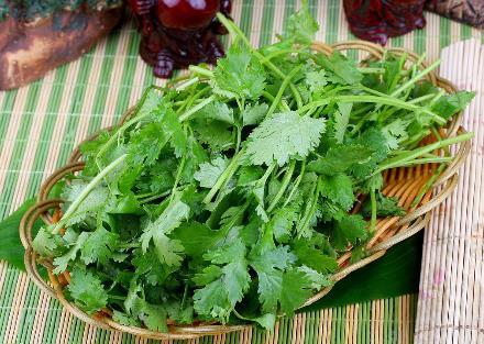 香菜怎么吃？香菜的營(yíng)養(yǎng)價(jià)值、功效與作用