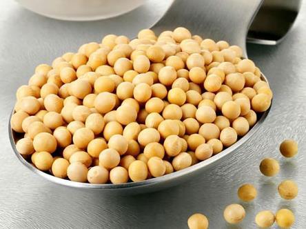 常吃黃豆有什么好處？黃豆的營養價值、功效與作用