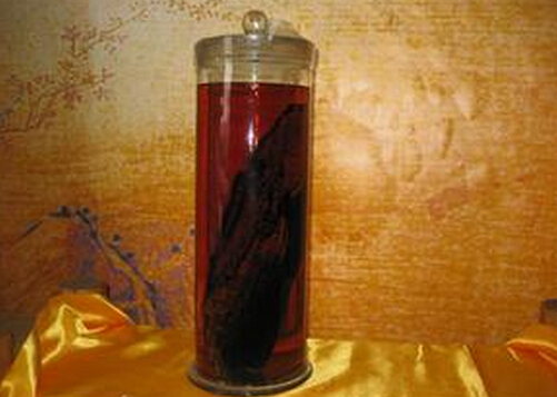 陽痿患者喝什么藥酒？男人的養腎藥酒