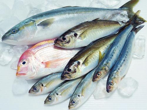如何區別冰鮮魚與速凍魚？鑒別海鮮干品質量好壞優劣的方法