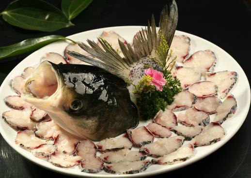 如何辨別常見的淡水魚？常見淡水魚的鑒別方法