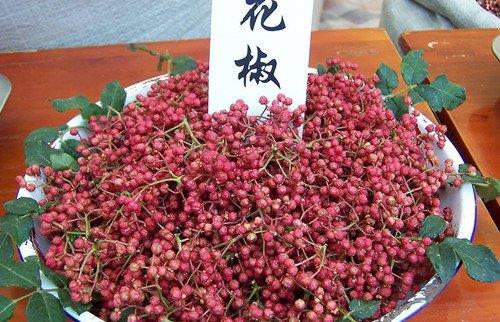 如何識(shí)別有毒花椒？毒花椒的鑒別方法