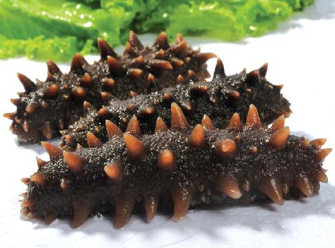 海參怎么泡發？泡發海參的方法