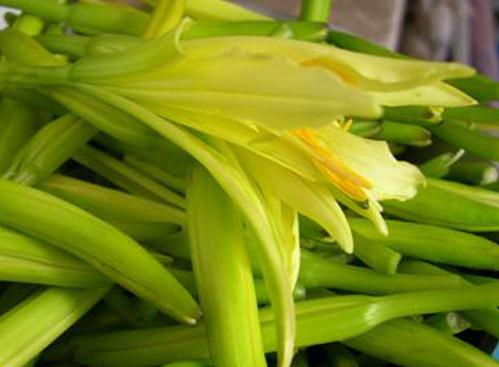 黃花菜怎么做好吃？黃花菜的吃法