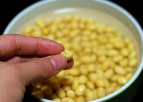 發(fā)芽豆還可以用嗎？發(fā)芽豆打豆?jié){更鮮美