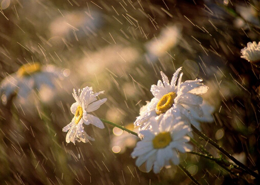 梅雨季節是什么時候？梅雨季節吃什么