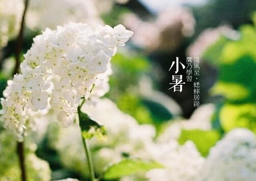 小暑什么意思？小暑怎么預防中暑