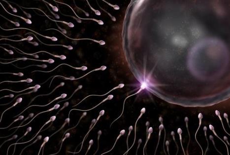精子成活率低怎么辦？精子成活率低吃什么食物好
