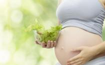 孕婦吃什么好？孕婦飲食能影響孩子壽命？