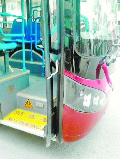 武漢公交車行駛途中驚現1米長毒蛇嚇壞乘客，民警捉走毒蛇并放生