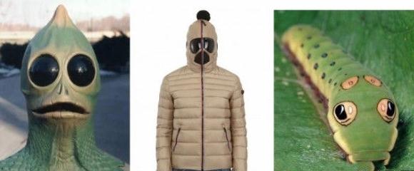 谷歌(Google)牌羽絨服Cosplay，實(shí)為頁(yè)面有Goggle字樣鬧烏龍