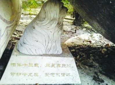 網曝紫金山麓現史上最貴“天價”狗墓，官方回應：狗墓系雕像遭業主曲解