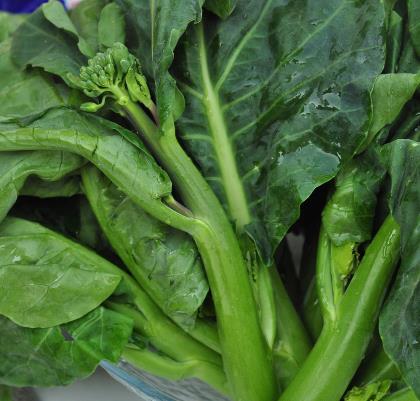 孕婦能吃芥藍嗎？孕婦吃芥藍的食用禁忌