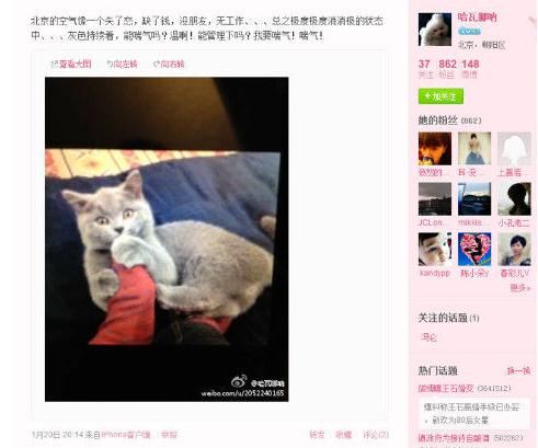 王石新歡田樸珺微博曝光，二人巴西吃烤肉，微博曬同一只貓