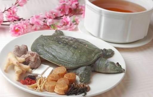 甲魚的血能喝嗎？甲魚血怎么吃更好