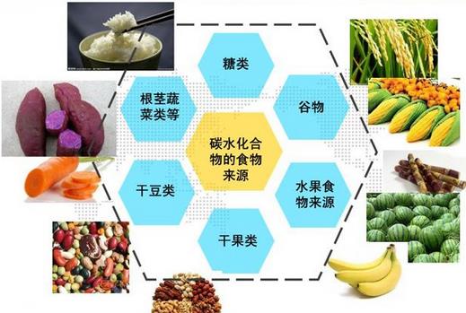 身體需要哪些營(yíng)養(yǎng)素 缺乏營(yíng)養(yǎng)素的隱患