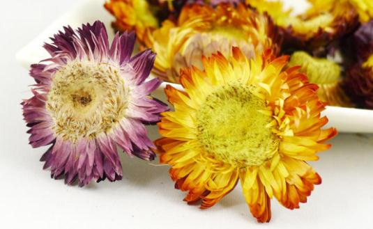 菊花美容養顏-菊花怎么吃最好？