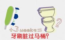 牙刷和口紅真的臟過馬桶？
