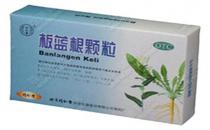 板藍根能不能抗病毒？