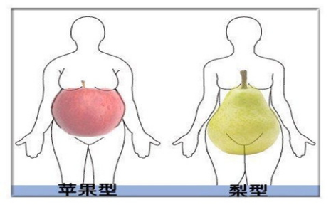 蘋(píng)果型身材