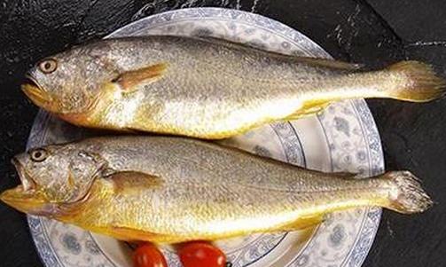 黃花魚有什么營養價值？孕婦能吃黃花魚嗎？