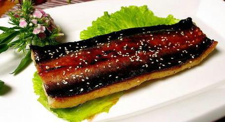 鰻魚(yú)