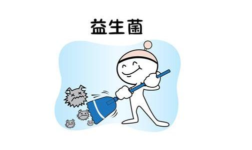 益生菌對(duì)人體的作用