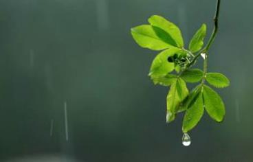 多雨季節老人該如何養生