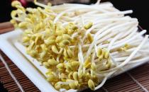 發芽的食物究竟能不能吃？