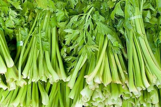 芹菜有哪些藥用功效？吃芹菜可預(yù)防動(dòng)脈硬化