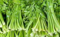 芹菜有哪些藥用功效？吃芹菜可預防動脈硬化