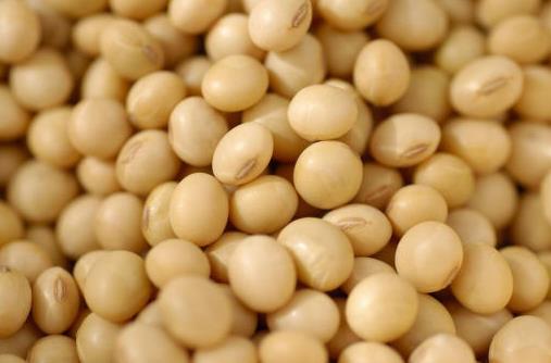 吃什么對乳房好？保護乳房的食物推薦