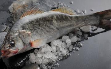 鱸魚_鱸魚的營養(yǎng)價值,營養(yǎng)成分,功效與作用,清蒸鱸魚的做法大全