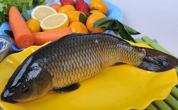 鯉魚_鯉魚的營養(yǎng)價(jià)值,功效與作用,鯉魚怎么做好吃,鯉魚的做法大全 鯉魚_鯉魚的營養(yǎng)價(jià)值,功效與作用,鯉魚怎么做好吃,鯉魚的做法大全