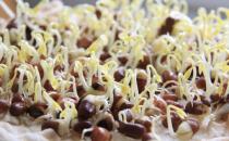 黃豆芽和綠豆芽有什么區別？