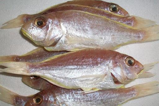 什么是冰鮮食品？如何區分冰鮮魚和冰凍魚？