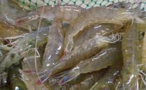 如何選購水產(chǎn)品？教你選購五類水產(chǎn)品