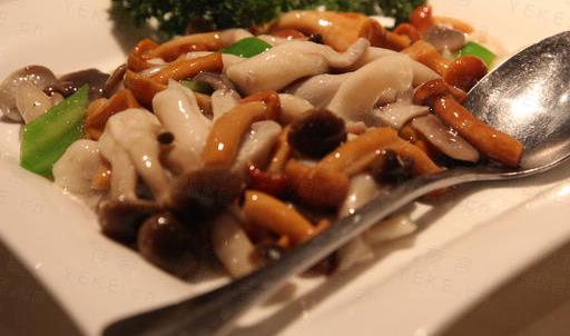 素食真的能讓人長壽嗎？