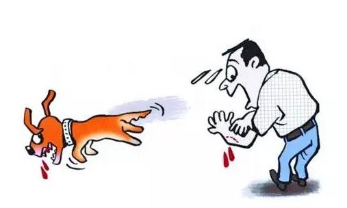 狂犬病的急救常識(shí)你知道嗎？