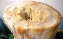 樹化玉有哪些價(jià)值？