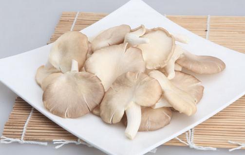 吃鳳尾菇好嗎？鳳尾菇怎么做好吃？
