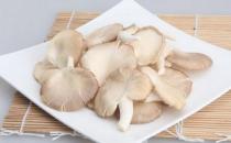 吃鳳尾菇好嗎？鳳尾菇怎么做好吃？