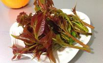 如何挑選香椿芽？香椿芽怎么吃最健康？