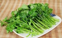 芫荽是什么？芫荽怎么做好吃？