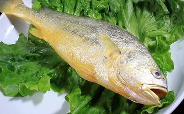【黃魚】_黃魚的營養價值,功效與作用,黃魚怎么做好吃,黃魚的做法大全