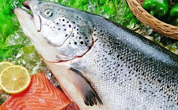 【三文魚】_三文魚的營養(yǎng)價(jià)值,三文魚怎么做好吃,三文魚的做法大全