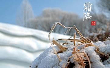 【霜降節氣】霜降是幾月幾日_霜降吃什么_霜降養生_霜降是什么意思