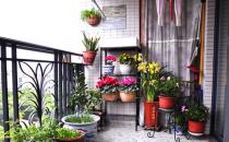 陽(yáng)臺(tái)怎么種花最合適？