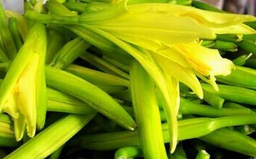 【黃花菜】黃花菜的營養(yǎng)價值_黃花菜怎么做好吃_黃花菜的做法大全