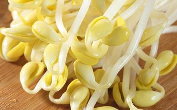 【黃豆芽】黃豆芽的營(yíng)養(yǎng)價(jià)值_黃豆芽怎么做好吃_黃豆芽的做法大全